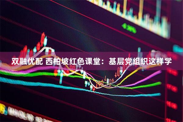 双融优配 西柏坡红色课堂：基层党组织这样学